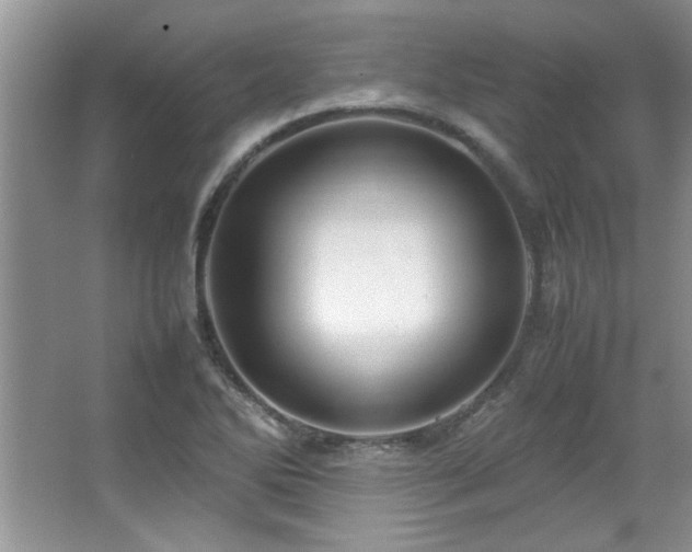 X0000066941270200603241133