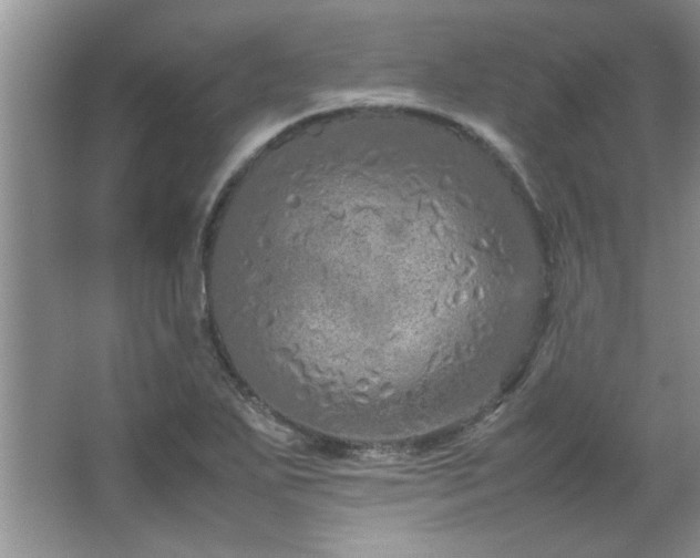 X0000066941271200603241133