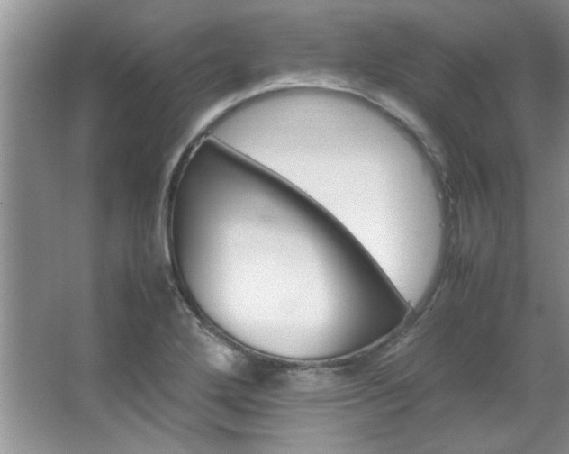 X0000066941272200603241133