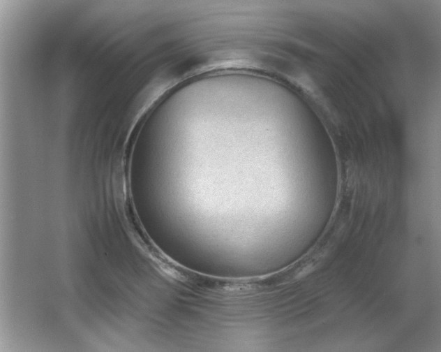 X0000066941274200603241133