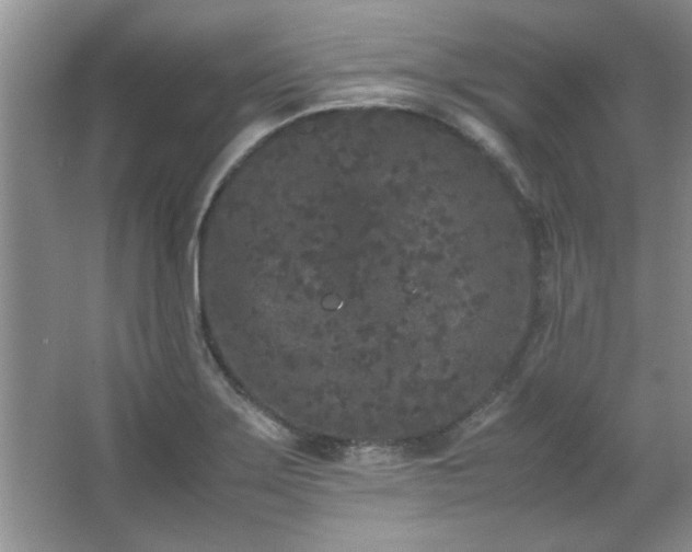 X0000066941275200603241132