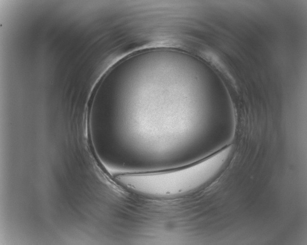 X0000066941276200603241132