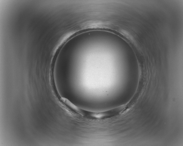 X0000066941277200603241132