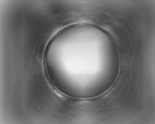 X0000066941278200603241132