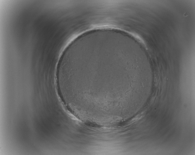 X0000066941279200603241132