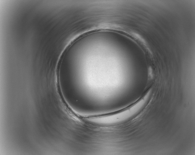 X0000066941280200603241132