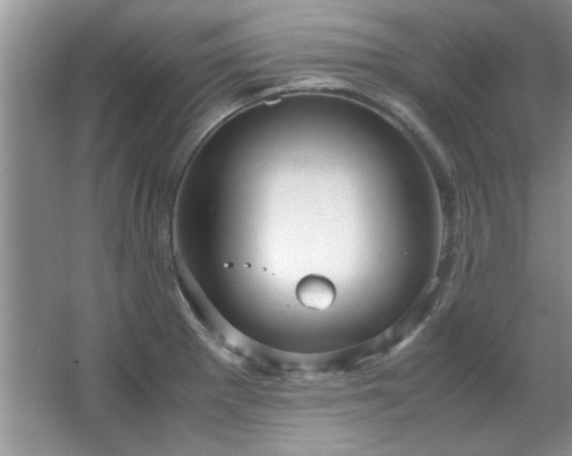 X0000066941281200603241132