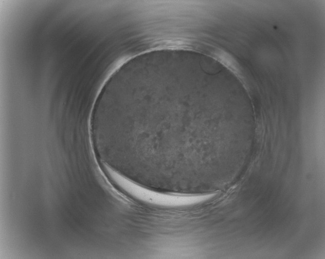 X0000066941283200603241132