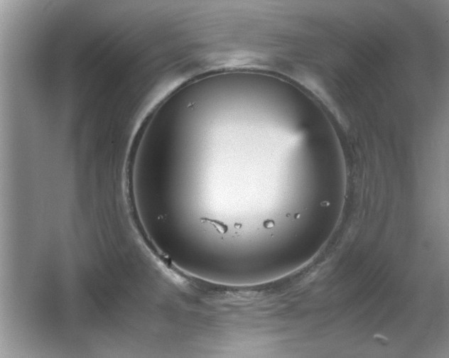 X0000066941285200603241132