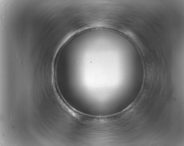 X0000066941286200603241132