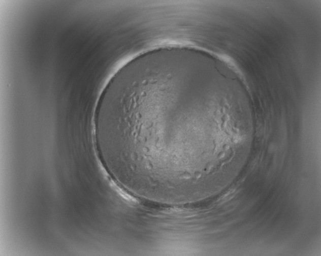 X0000066941287200603241132