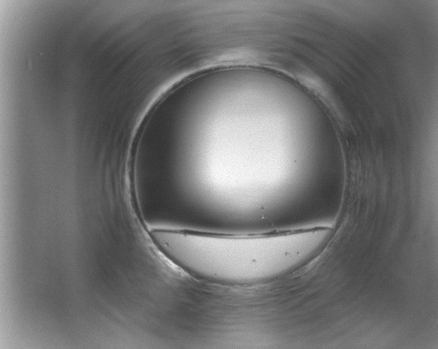 X0000066941288200603241132