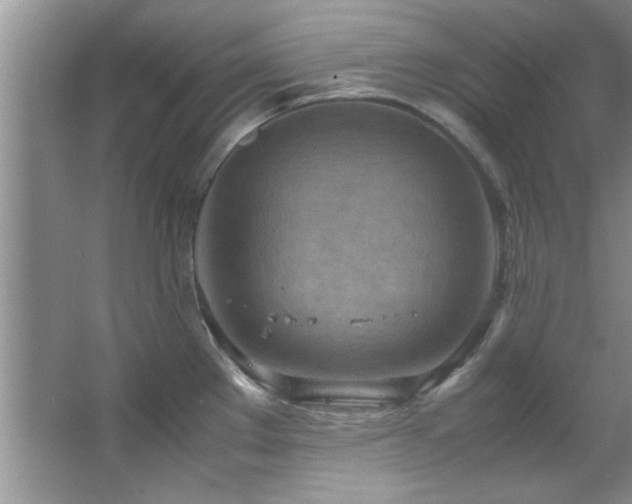 X0000066941289200603241132