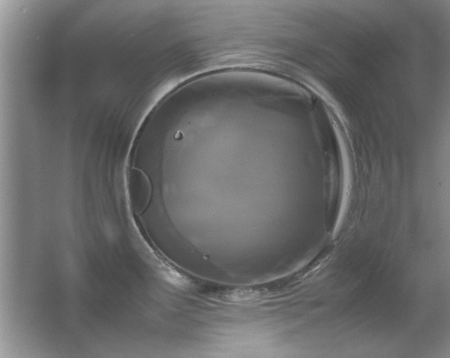 X0000066941291200603241132