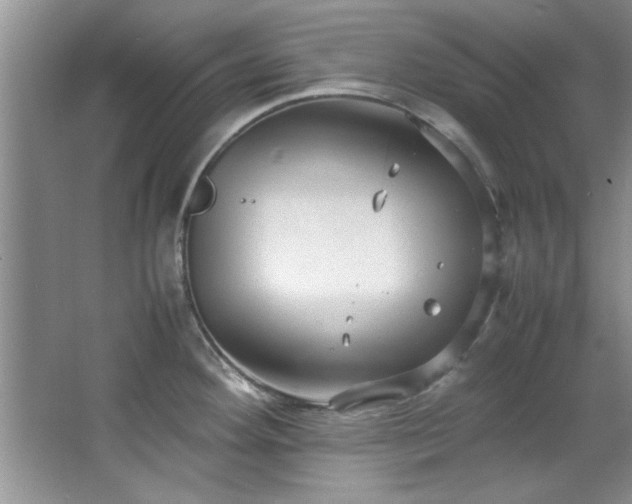 X0000066941292200603241132