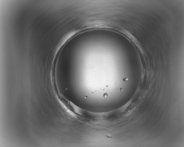 X0000066941293200603241132