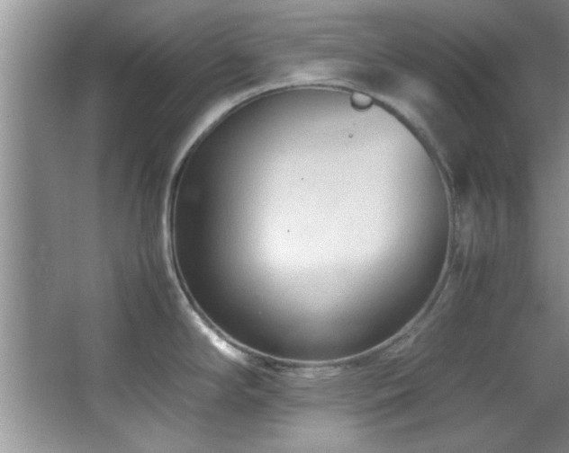 X0000066941294200603241132