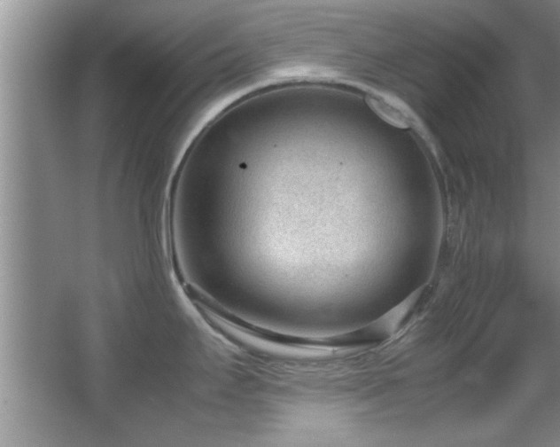 X0000066941295200603241132