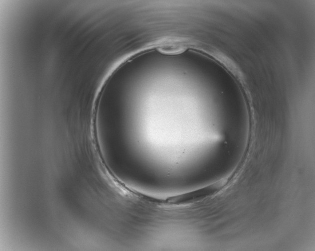 X0000066941296200603241132