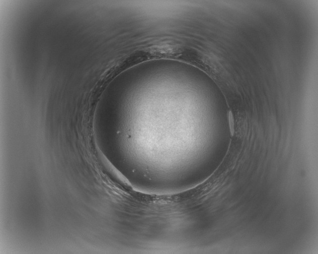 X0000066941297200603241131