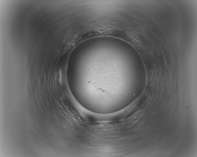 X0000066941298200603241131