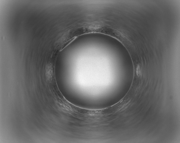 X0000066941299200603241131