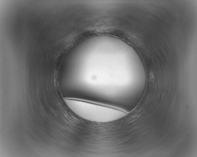 X0000066941300200603241131