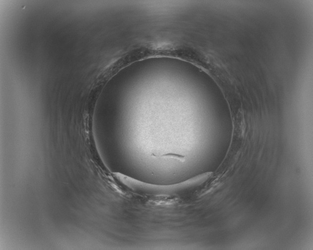 X0000066941301200603241131