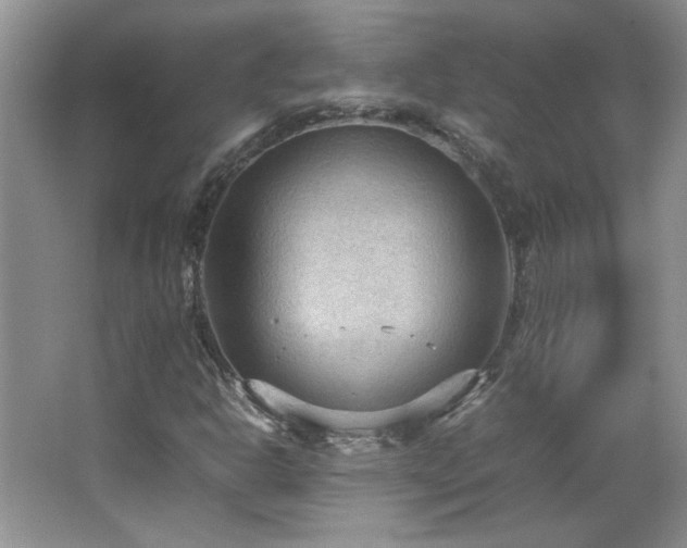 X0000066941302200603241131