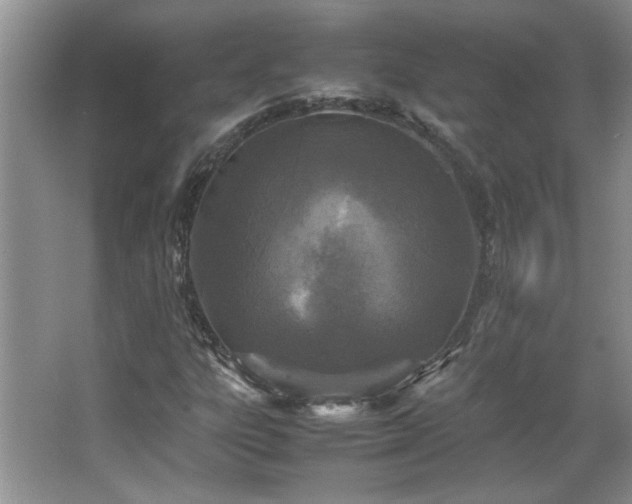 X0000066941303200603241131