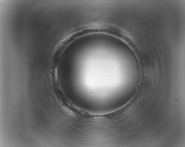 X0000066941304200603241131