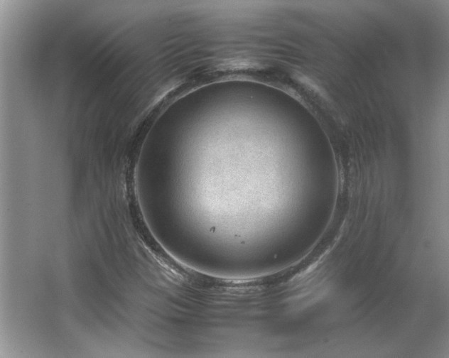 X0000066941305200603241131