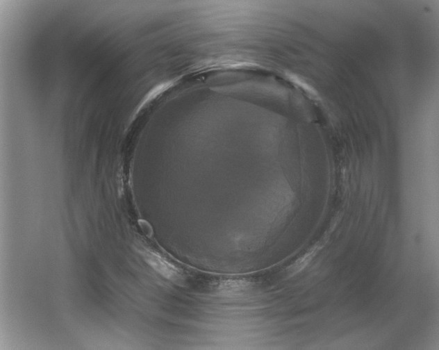 X0000066941306200603241131