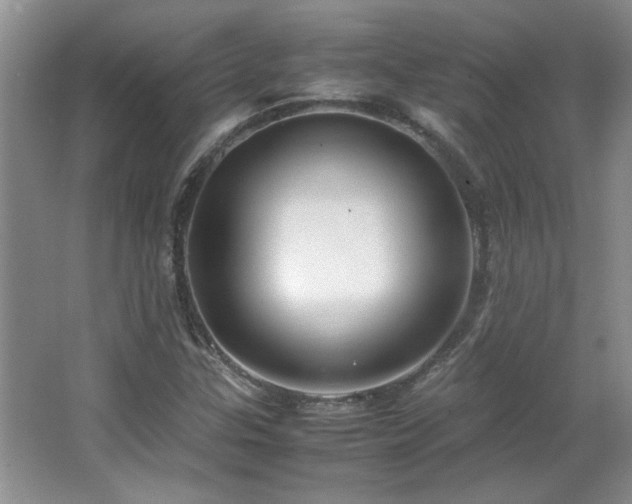 X0000066941307200603241131