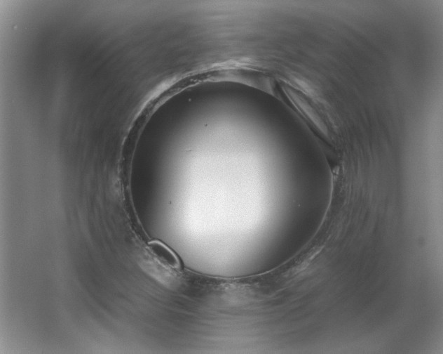 X0000066941308200603241132