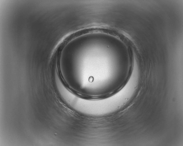 X0000066941310200603241132