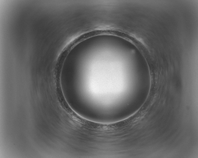 X0000066941311200603241132