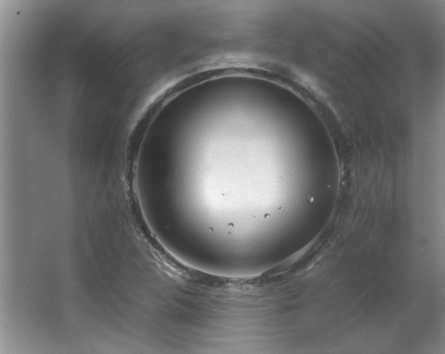 X0000066941312200603241132