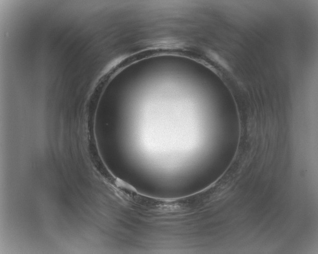 X0000066941315200603241132