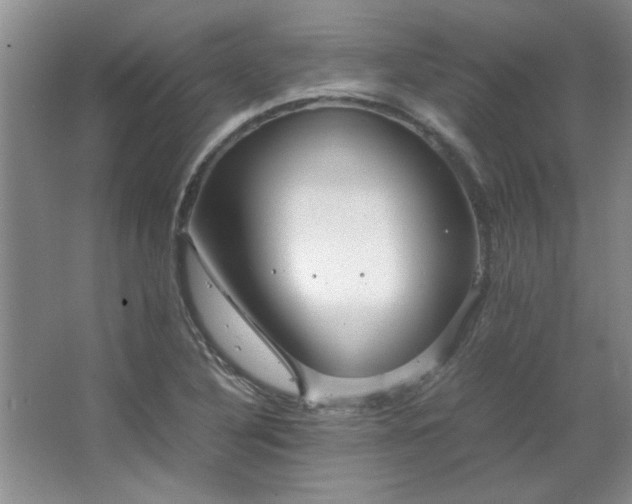 X0000066941316200603241132