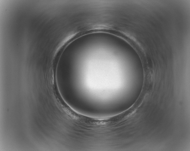 X0000066941317200603241132