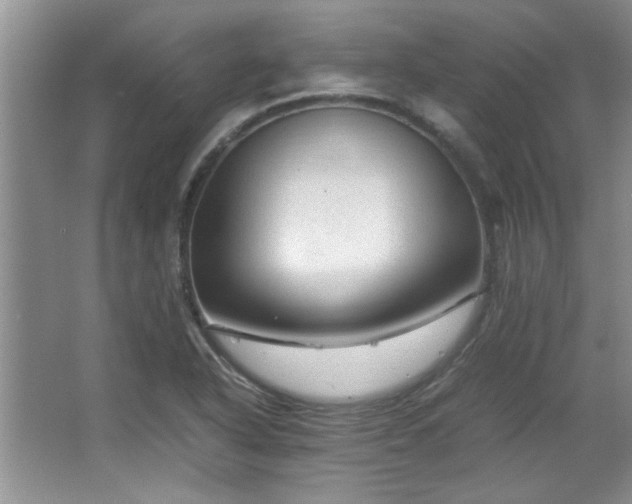 X0000066941318200603241132