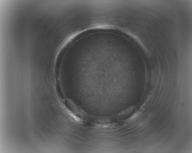 X0000066941319200603241132