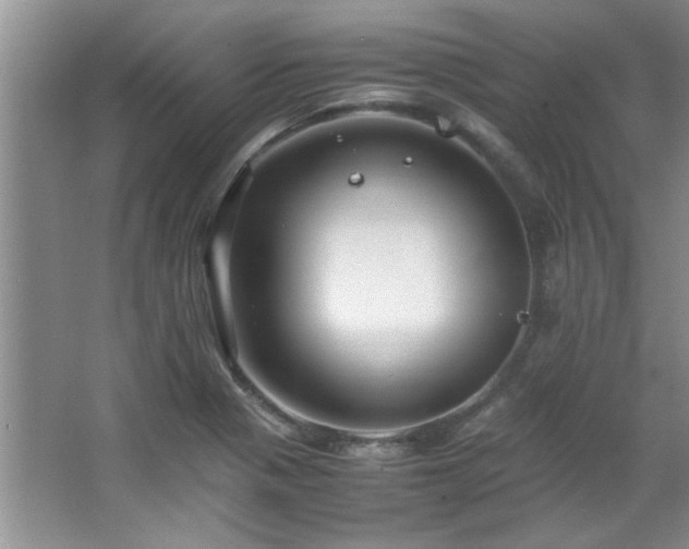 X0000066941321200603241132