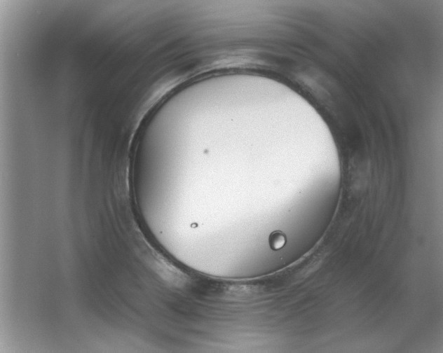 X0000066941322200603241132