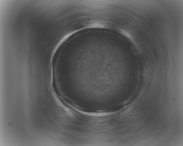 X0000066941323200603241132