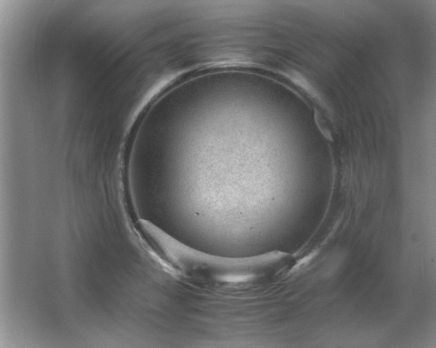 X0000066941325200603241132