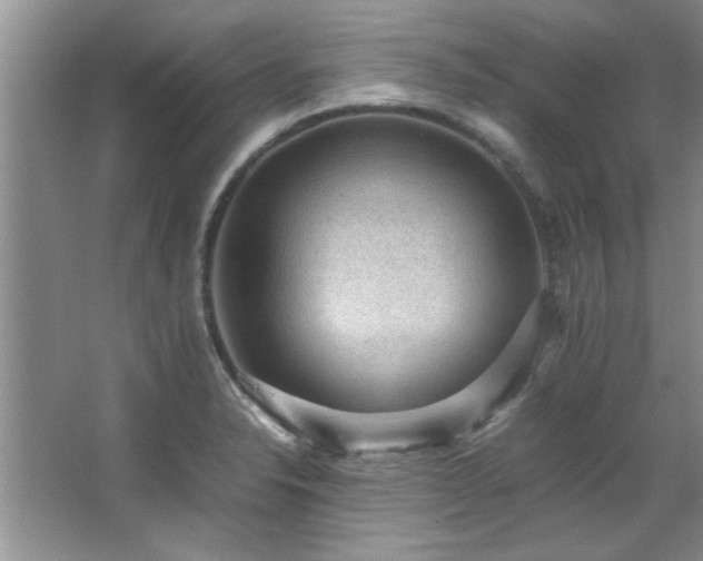 X0000066941326200603241132