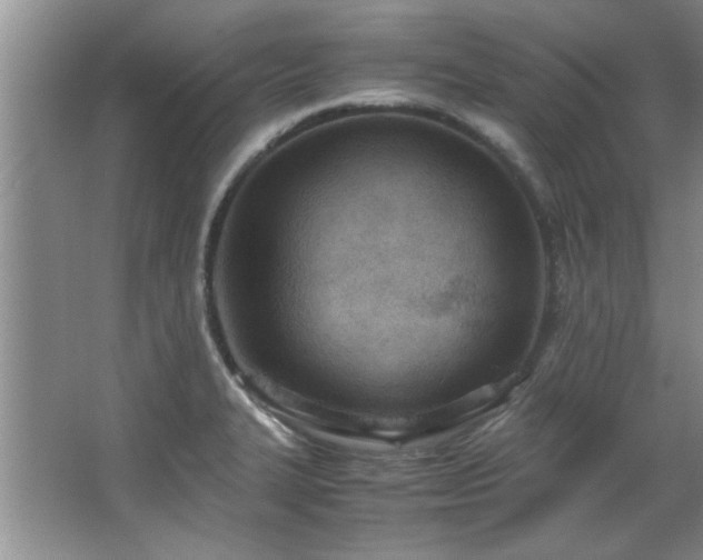 X0000066941327200603241132