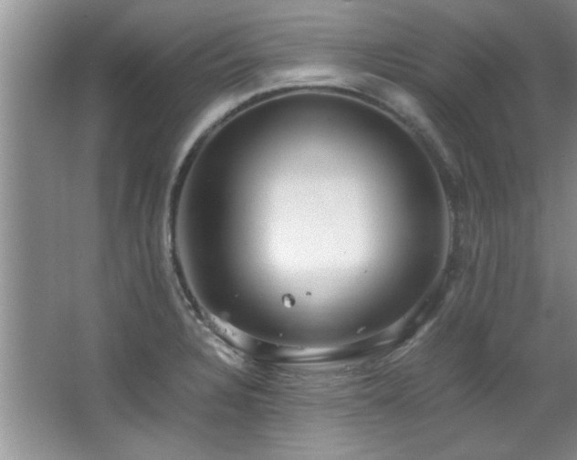 X0000066941328200603241132